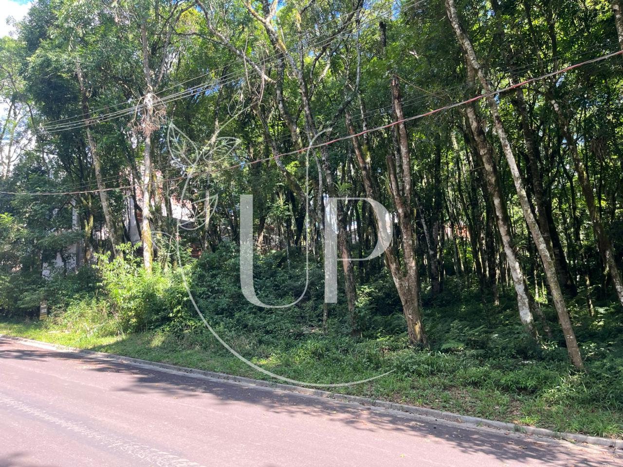 Terreno Bairro central Gramado