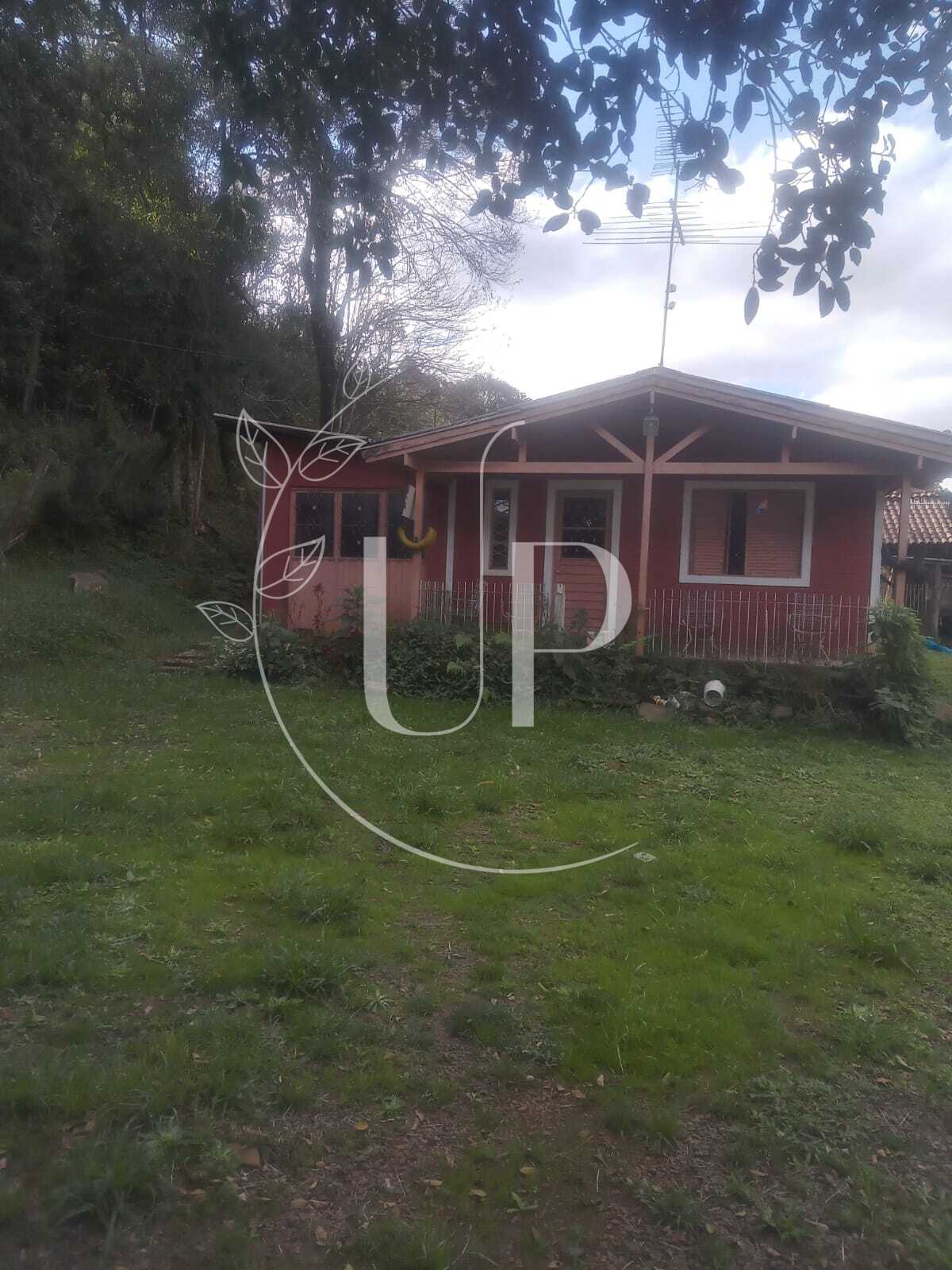 Sitio com 04 hectares Canela